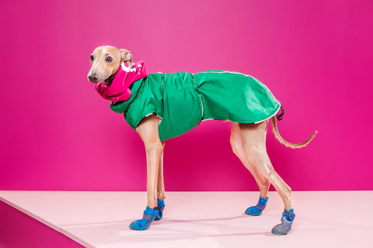 PRETTY BOY iz OZHERELIA