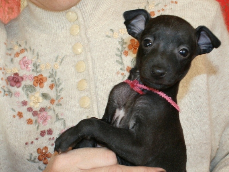 ПОМЁТ "Д" / litter "D"