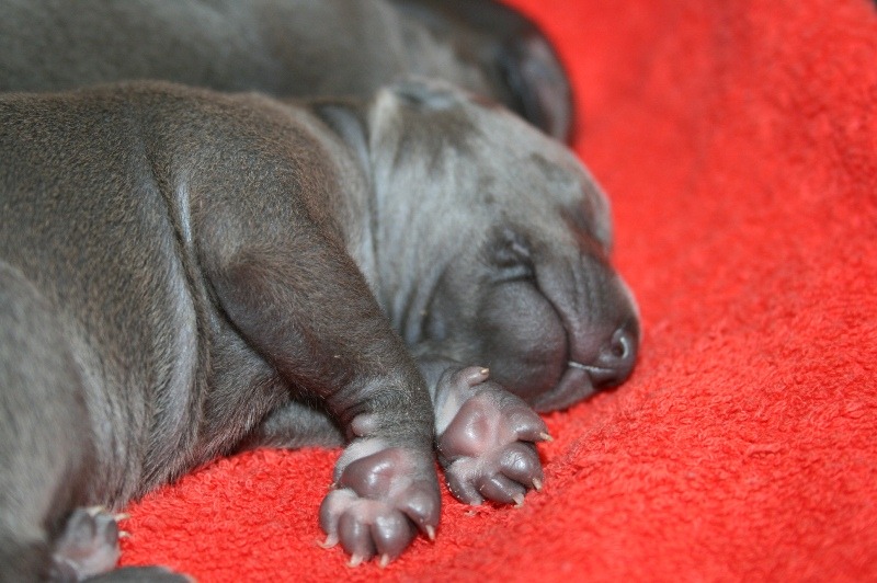 ПОМЁТ "Э" / littera "Э"