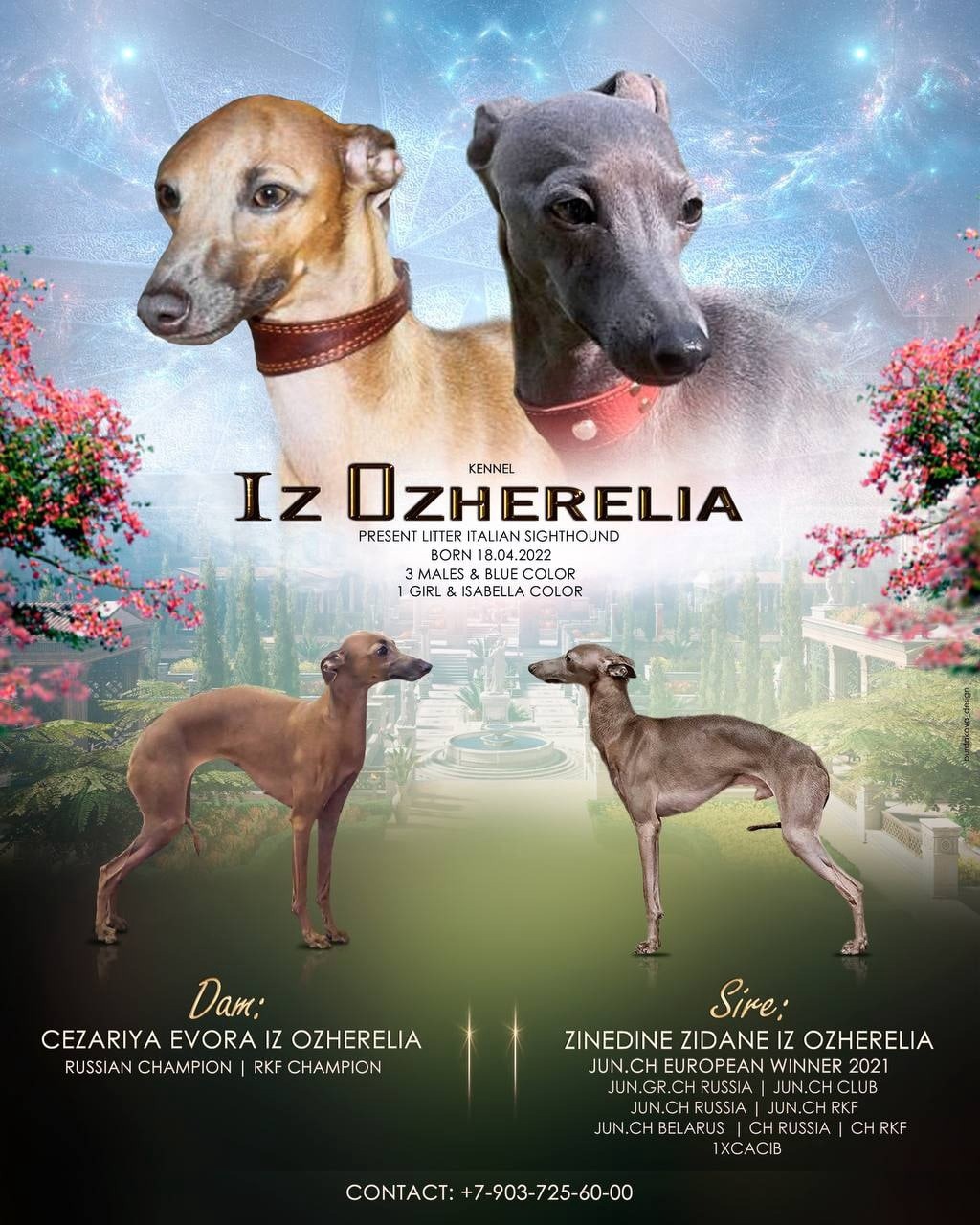 ПОМЁТ "Т" / litter "T"