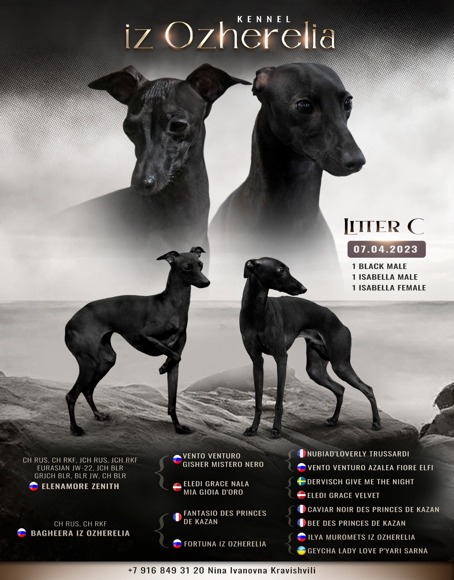 ПОМЁТ "Ц" / litter "C"