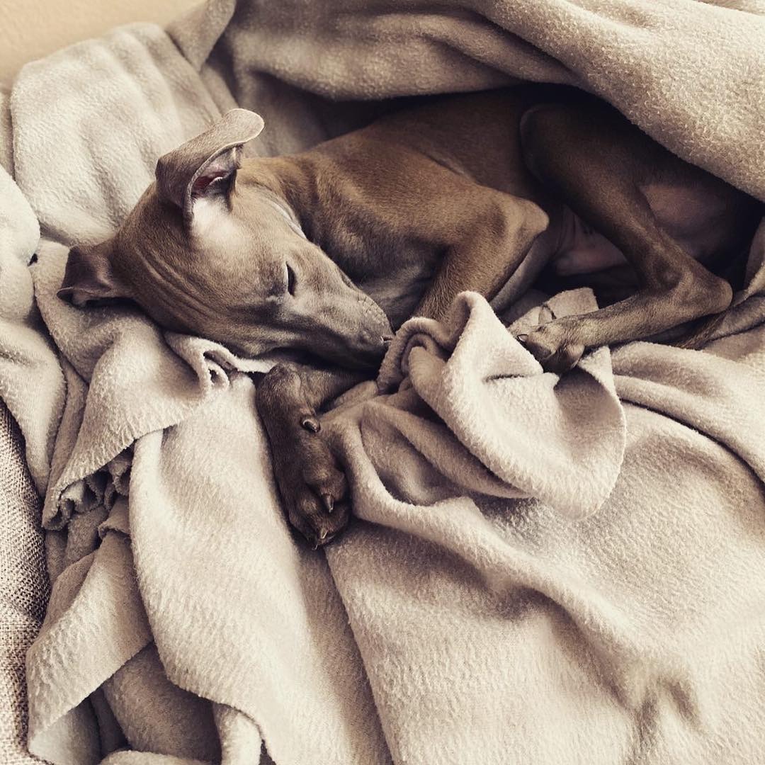 ПОМЁТ "Ж" / litter "J"