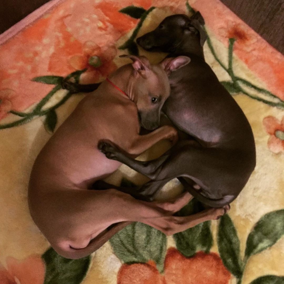 ПОМЁТ "Д" / litter "D"