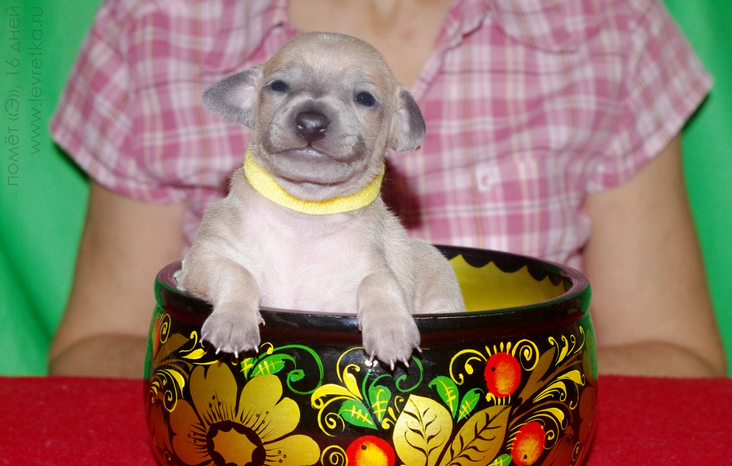 ПОМЁТ "Э" / litter "E"