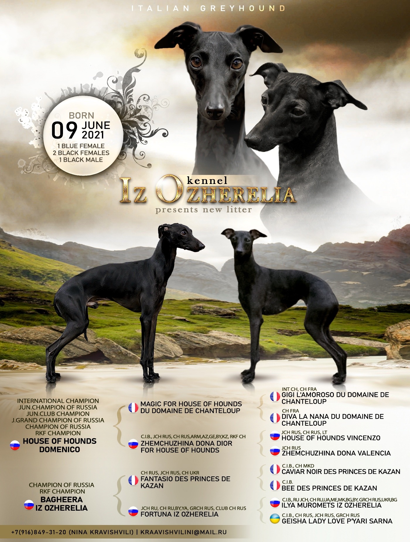 ПОМЁТ "М" / litter "М"