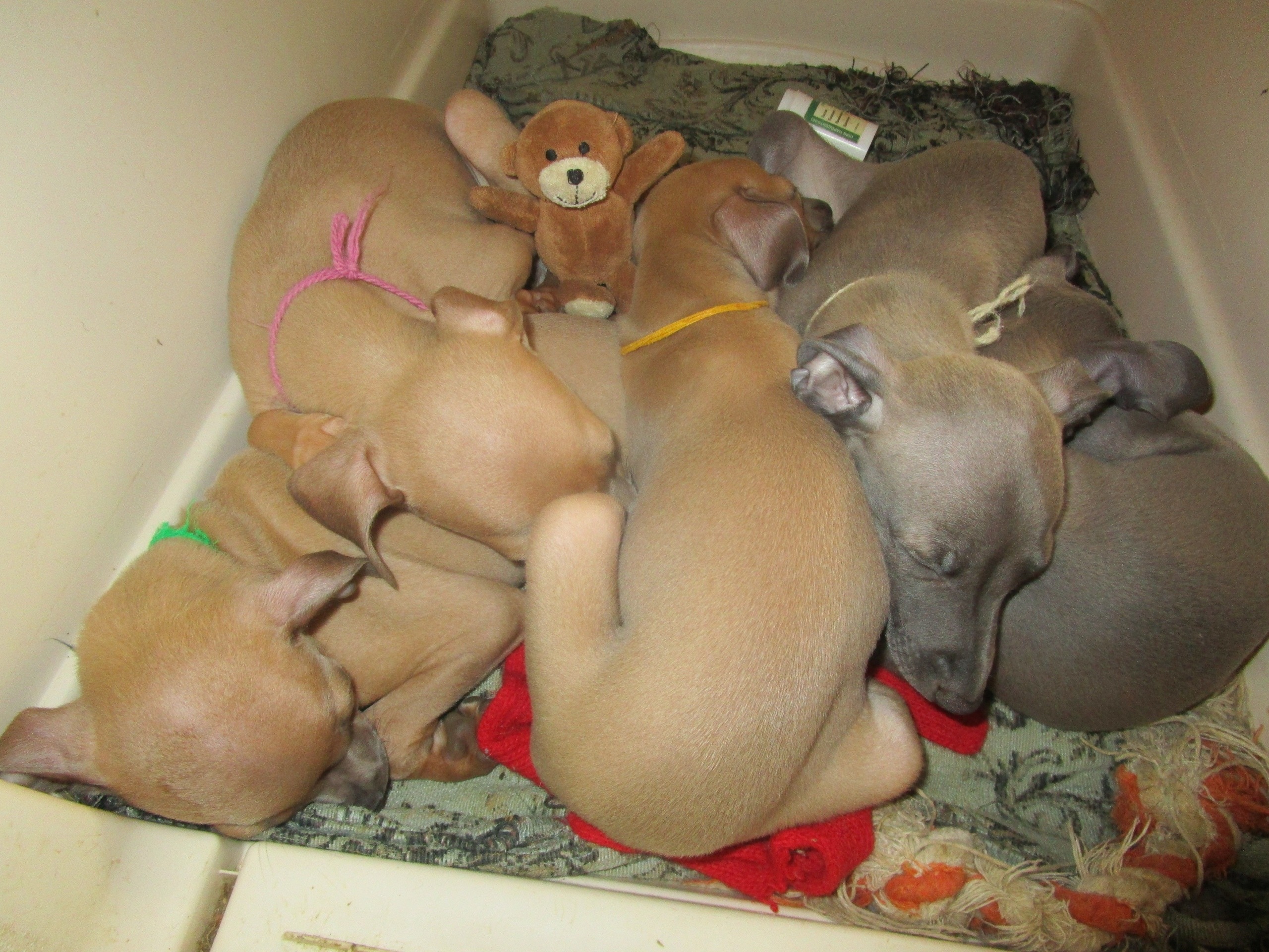 ПОМЁТ "Е" / litter "E"