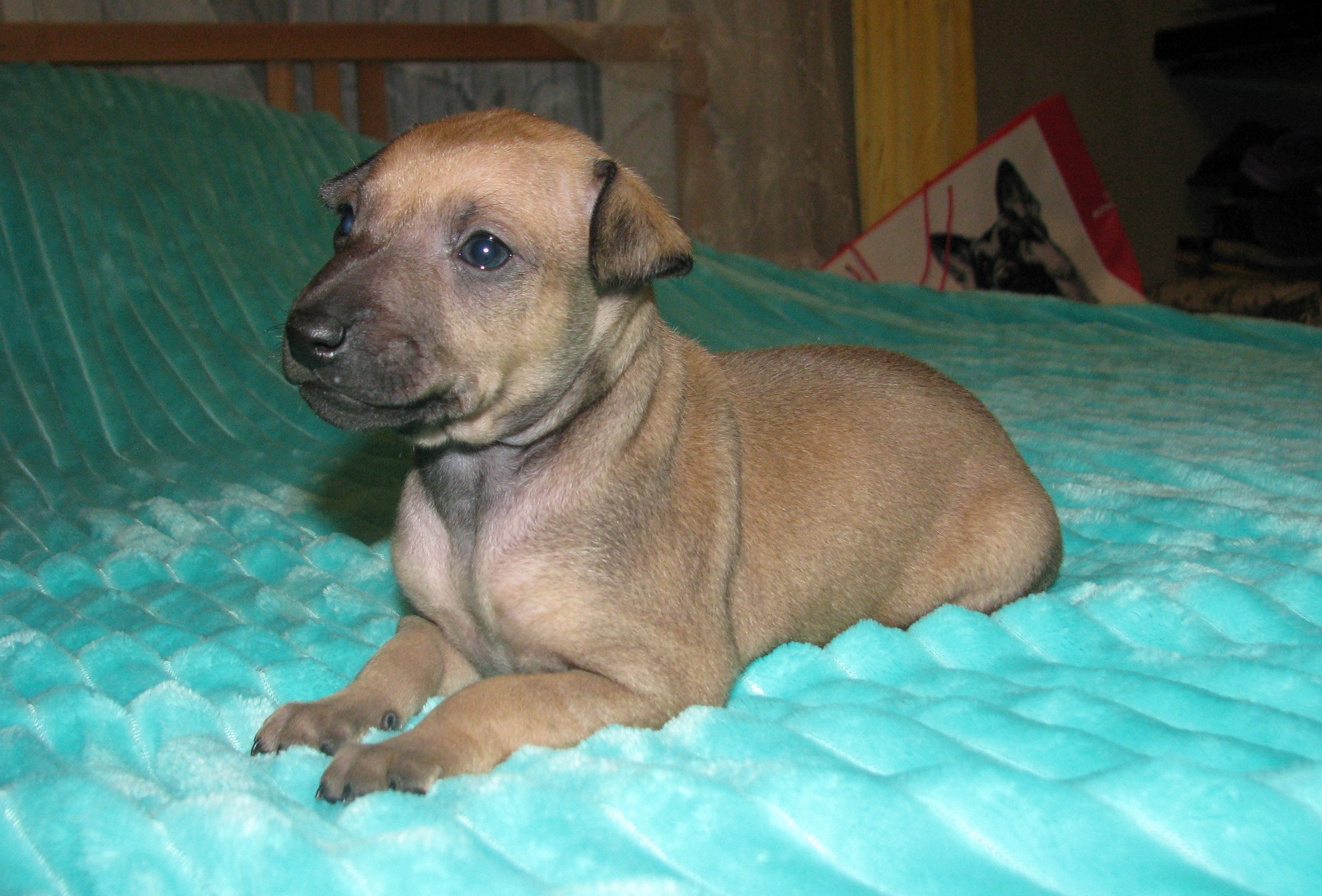 ПОМЁТ "Ю" / litter "J"