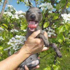 HOjbfdMF-3k_original