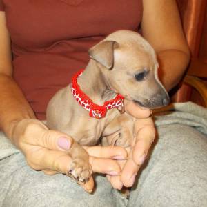 ADxGrbwTXjI_original