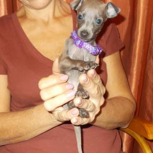 Pn4ZkkiTpDU_original