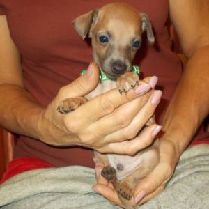 XLDc5tzvQz4_original