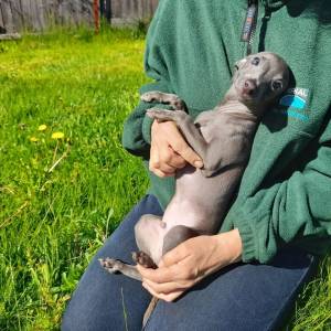 mW19Z_BSYfw_original