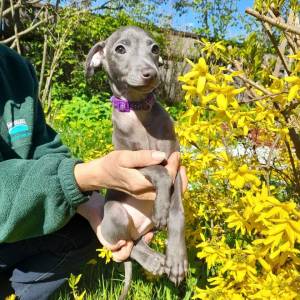 tY17QRPg6y4_original