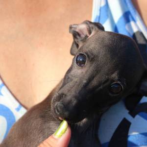 3wPYg5mWd9A_original