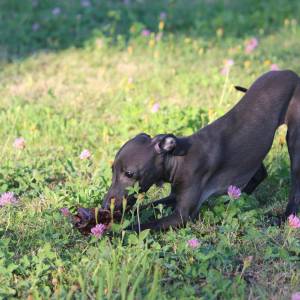 O18pRHPTEo4_original