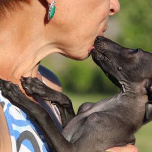 VsB4Ft8v5AY_original