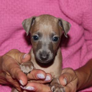 ZzinvkvwY5c_original