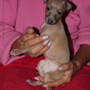 oklC5lX_lc4_original