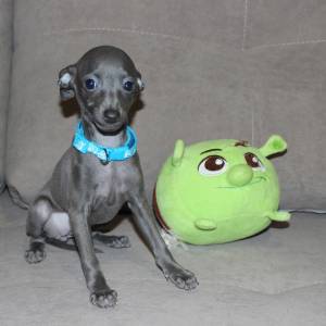 EP_smSIwUQ8_original