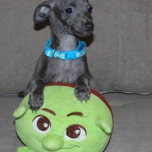 xFVWI8hAKn4_original