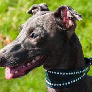 nXl2k3M2RRU_original