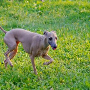 HmagyU8mX2M_original