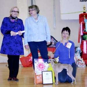 SHnrNy-H4gQ_original