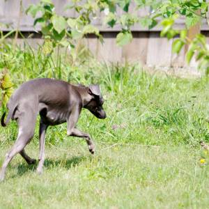 8iD-ZGOn8cY_original