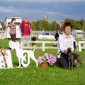 9NTbJP4ReyE_original