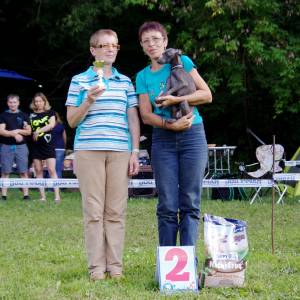 knLJS6Lrq1I_original