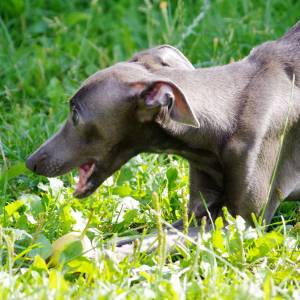 o6h59XpfT_w_original