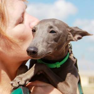 BKoG3hllZD4_original