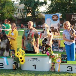 E1w_B6e5y_s_original