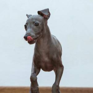 crlMhr3qGOE_original