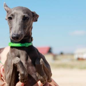 q5s8d345suY_original