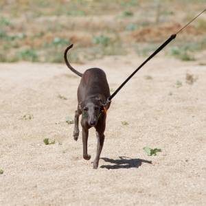 s6W0rtDofN8_original