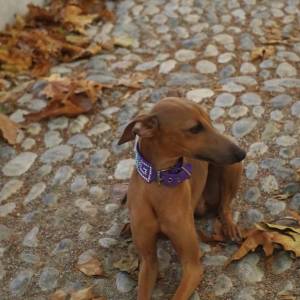 bjtW9UDxYDA_original