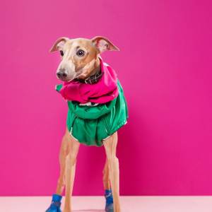 st6F0uheRt0_original