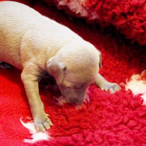 MyLMMldDN1I_original