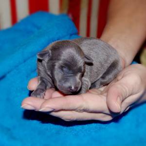 U9IZf7sqjnA_original