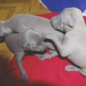 uQw2pYsSWoY_original