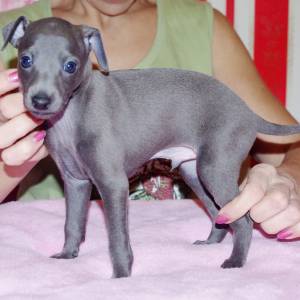 9H7C14T93kE_original