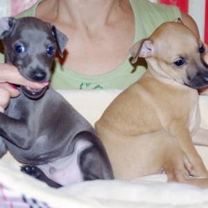 Aw_6ijkMRpU_original