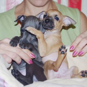 ZF0WrCmwFPA_original