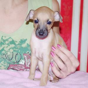 hJpE5NgWiZk_original