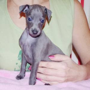 jn6sXpzHkuk_original