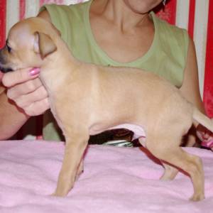 yCbft_Dg3Jk_original