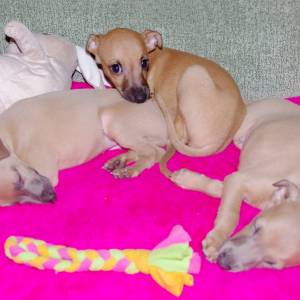 AVHOJR-Y60U_original