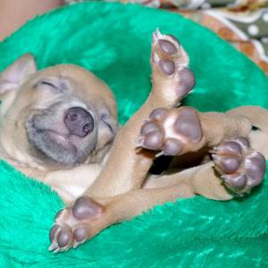 JIJ2gBzSZ8A_original