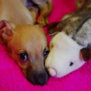 ThJqy9j7-Vs_original